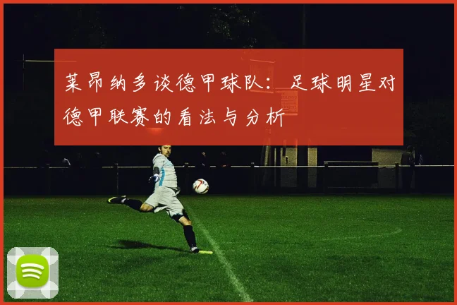 莱昂纳多谈德甲球队：足球明星对德甲联赛的看法与分析